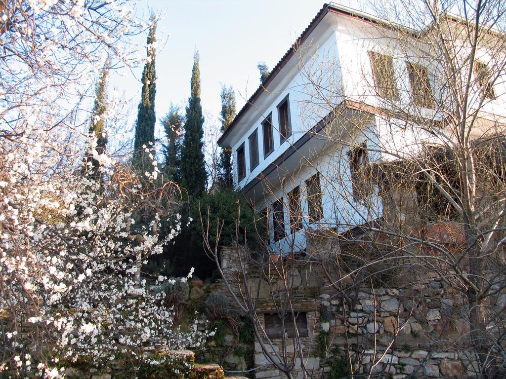 Nisanyan Hotel Selçuk Ngoại thất bức ảnh